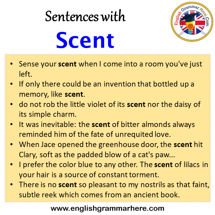 Sentences with Scent, Scent in a Sentence in English, Sentences For Scent
