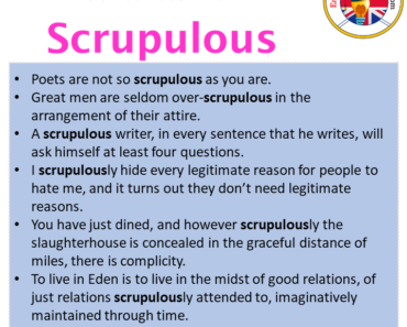 Scrupulous in a Sentence in English Archives - English Grammar Here