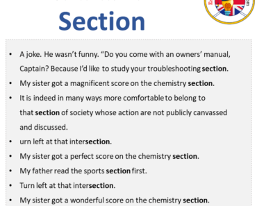 Sentences with Section Archives - English Grammar Here