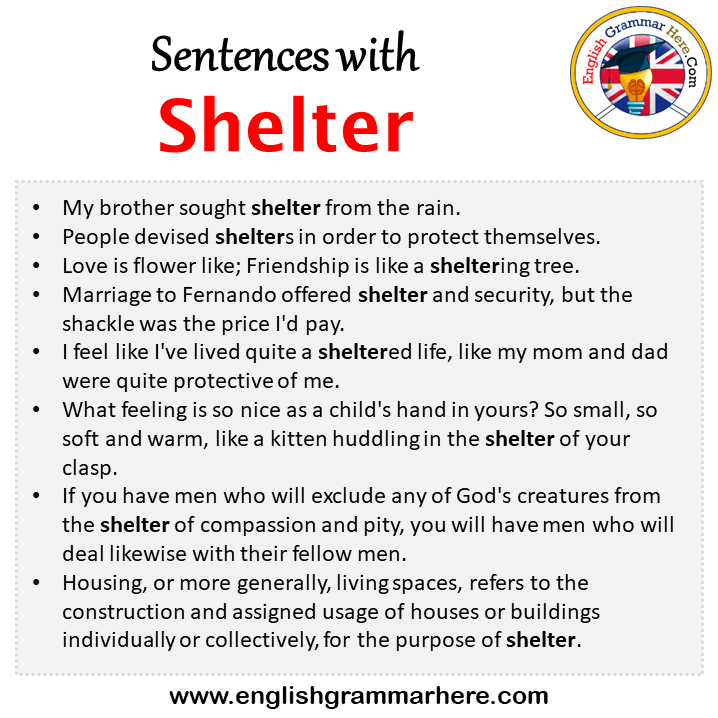 Sentences with Shelter, Shelter in a Sentence in English, Sentences For Shelter