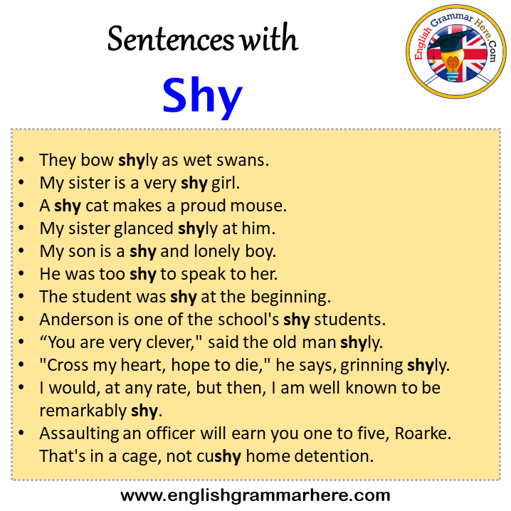 Sentences with Shy, Shy in a Sentence in English, Sentences For Shy