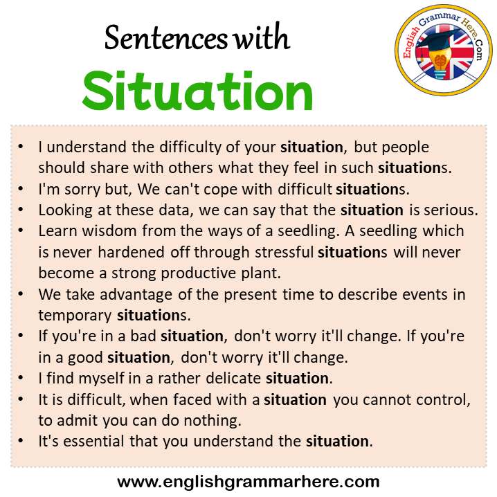 Sentences with Situation, Situation in a Sentence in English, Sentences For Situation