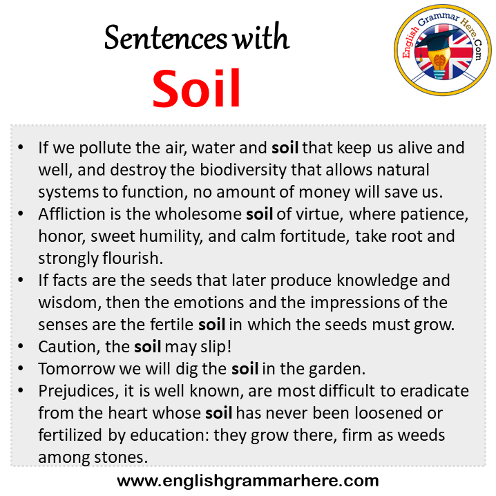 sentences-with-avoid-avoid-in-a-sentence-in-english-sentences-for