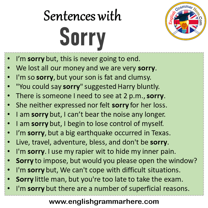 Sentences with Sorry, Sorry in a Sentence in English, Sentences For Sorry