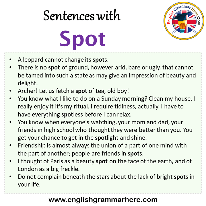 Sentences with Spot, Spot in a Sentence in English, Sentences For Spot