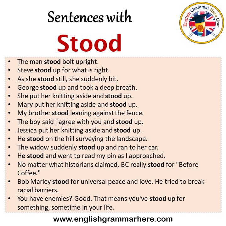 Sentences with Stood, Stood in a Sentence in English, Sentences For Stood