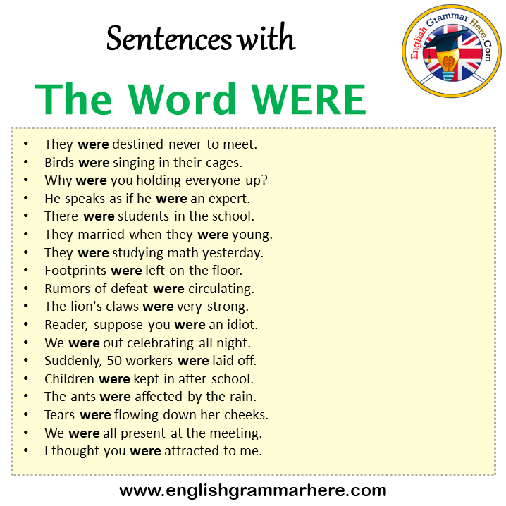 Sentences with The Word WERE, The Word WERE in a Sentence in English, Sentences For The Word WERE