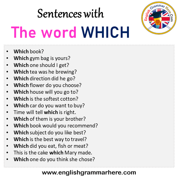 Sentences with The word WHICH, The word WHICH in a Sentence in English, Sentences For The word WHICH