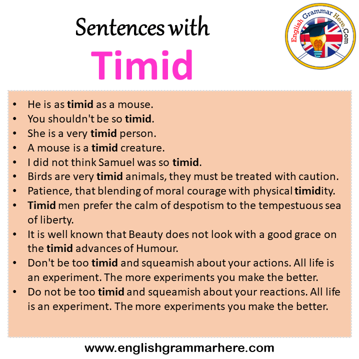 Sentences with Timid, Timid in a Sentence in English, Sentences For Timid