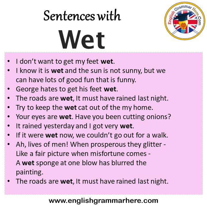 Sentences with Wet, Wet in a Sentence in English, Sentences For Wet