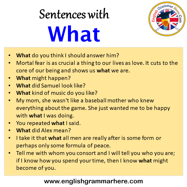 Sentences with What, What in a Sentence in English, Sentences For What