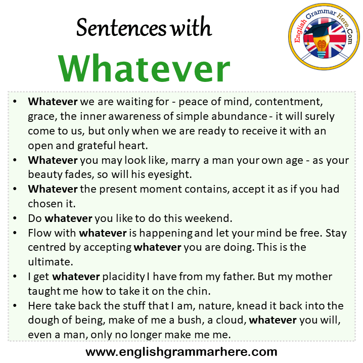 Sentences with Whatever, Whatever in a Sentence in English, Sentences For Whatever