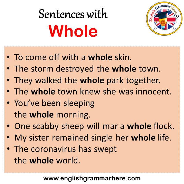 Sentences with Whole, Whole in a Sentence in English, Sentences For Whole