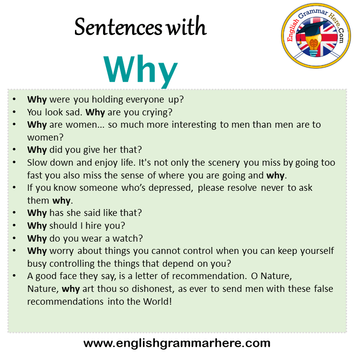 Sentences with Why, Why in a Sentence in English, Sentences For Why