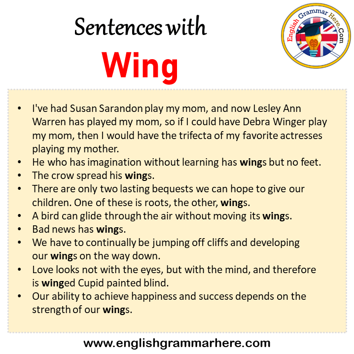 Sentences with Wing, Wing in a Sentence in English, Sentences For Wing