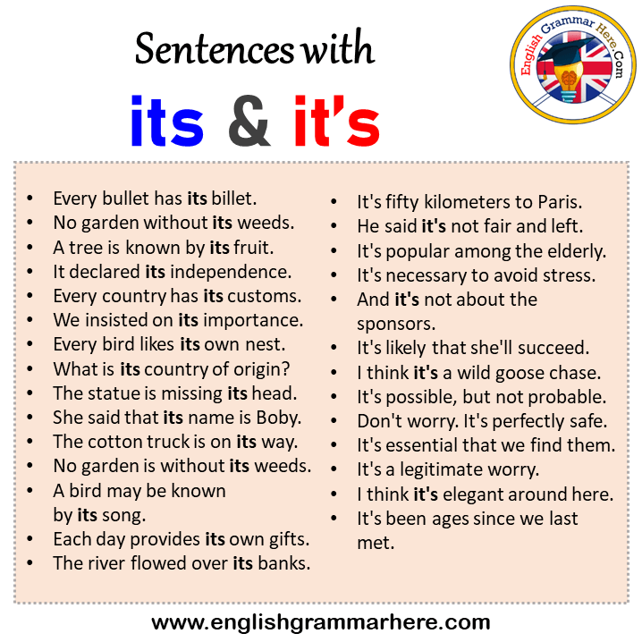 Sentences with its and it’s, its and it’s in a Sentence in English, Sentences For its and it’s
