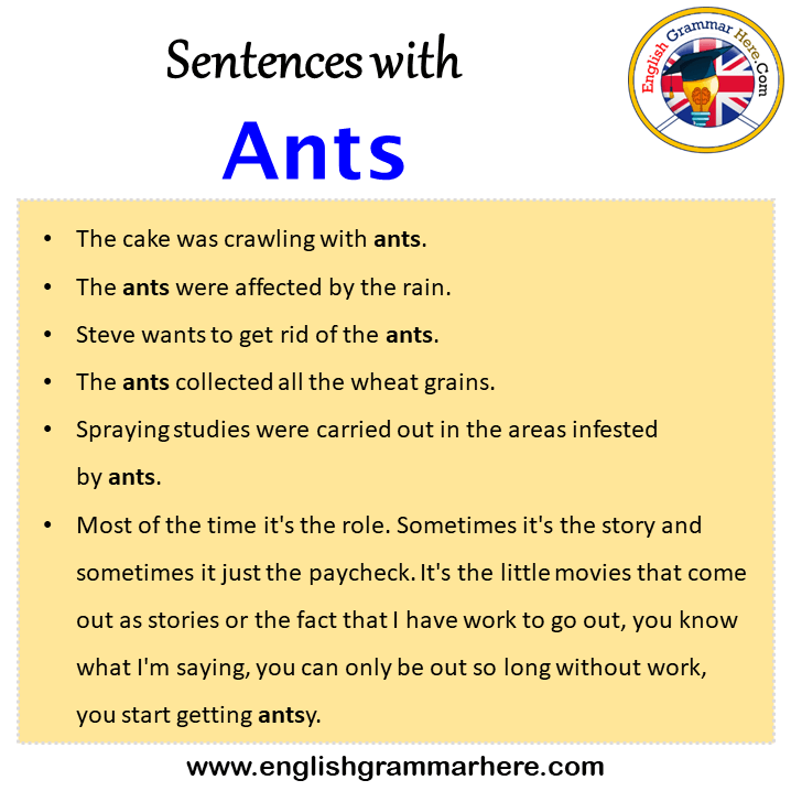 Sentences with Ants, Ants in a Sentence in English, Sentences For Ants