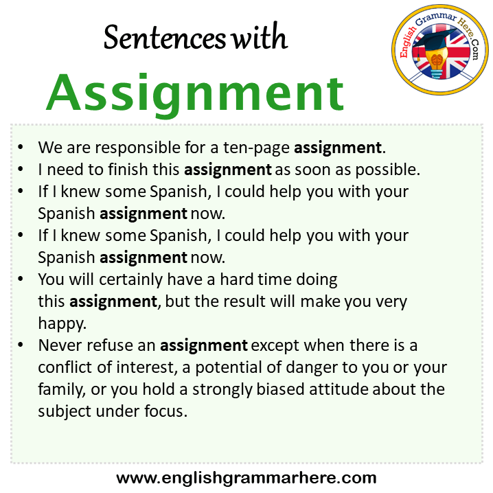 use of assignment in a sentence