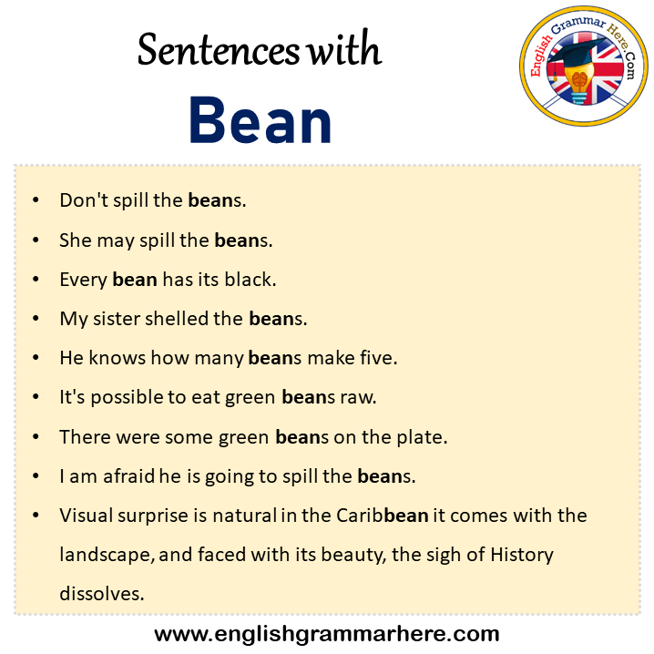 Sentences with Bean, Bean in a Sentence in English, Sentences For Bean