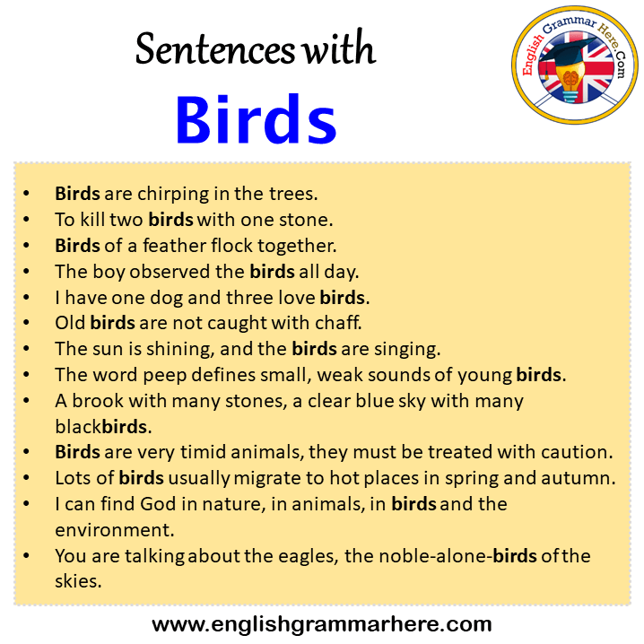 Sentences with Birds, Birds in a Sentence in English, Sentences For Birds
