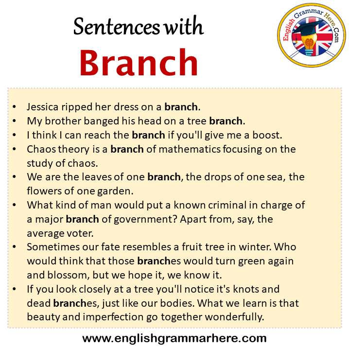 Sentences with Branch, Branch in a Sentence in English, Sentences For Branch