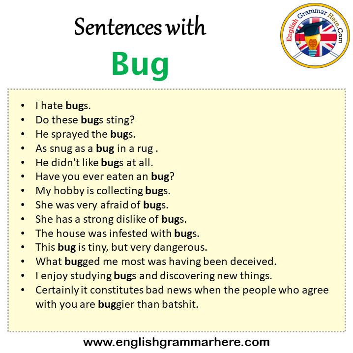 sentences-with-bug-bug-in-a-sentence-in-english-sentences-for-bug