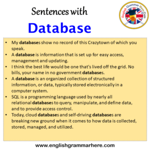 Sentences with Database, Database in a Sentence in English, Sentences ...