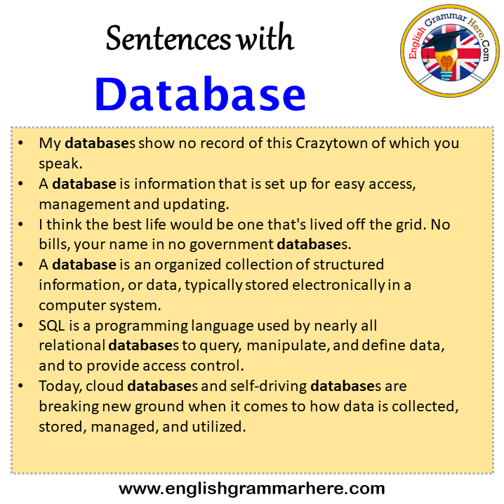 Sentences with Database, Database in a Sentence in English, Sentences For Database