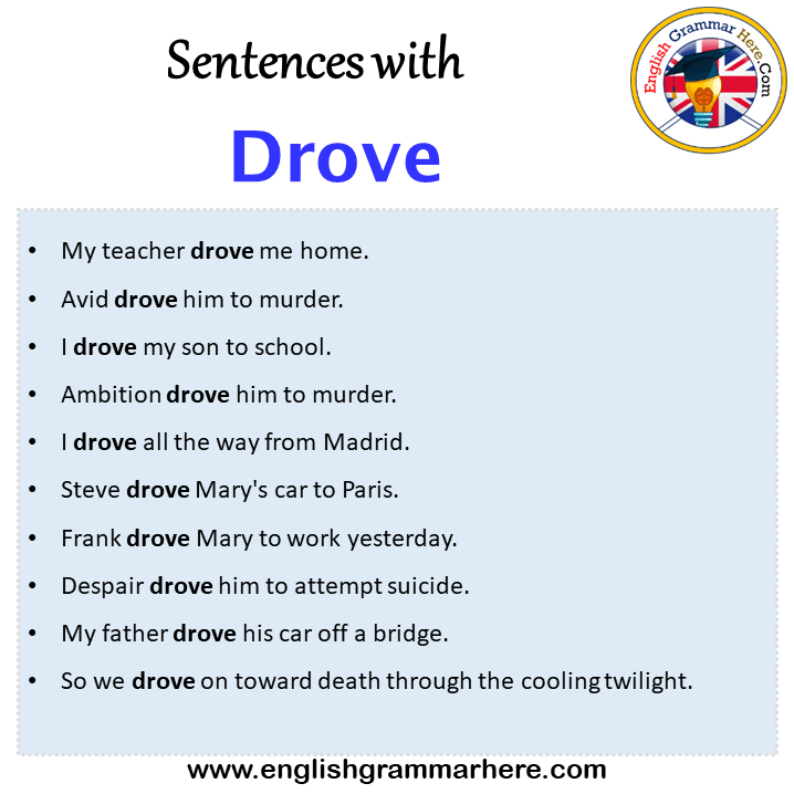 sentences-with-drove-drove-in-a-sentence-in-english-sentences-for