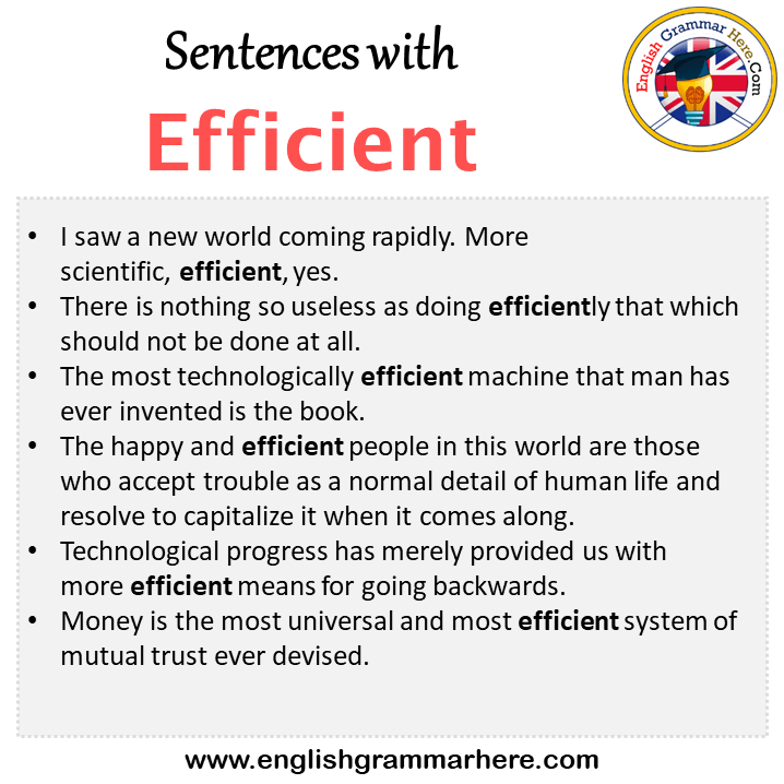 Sentences with Efficient, Efficient in a Sentence in English, Sentences For Efficient