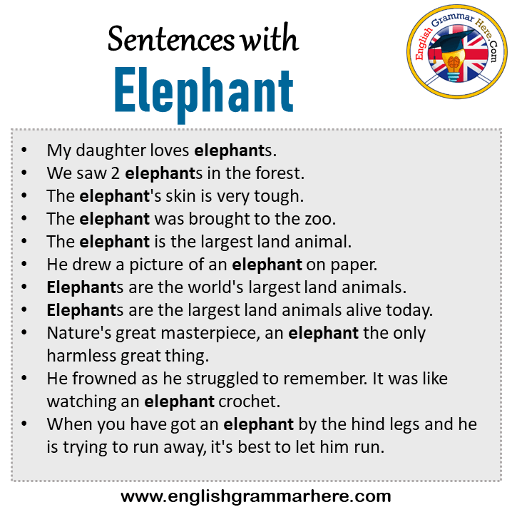 Sentences with Elephant, Elephant in a Sentence in English, Sentences For Elephant