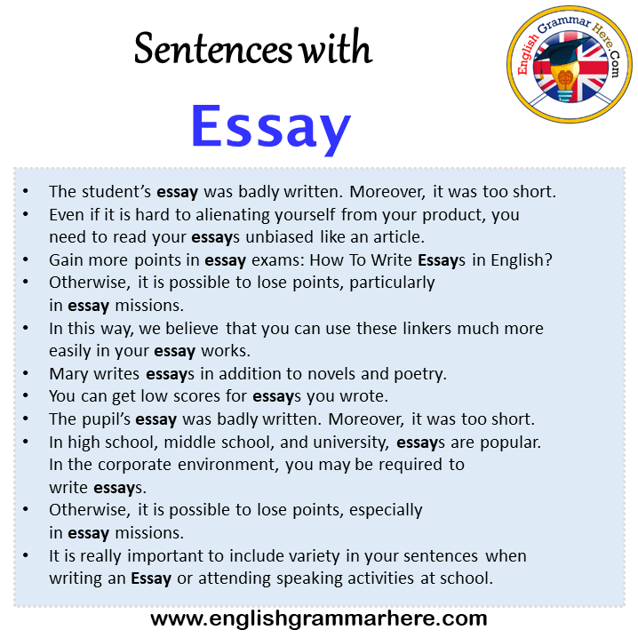 Sentences with Essay, Essay in a Sentence in English, Sentences For Essay