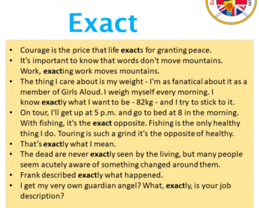 EXACT DEFINITION IN AMERICAN ENGLISH visual data 3