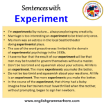 experiment some sentence