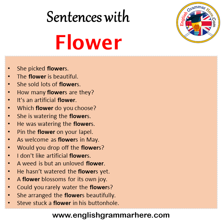 Sentences with Flower, Flower in a Sentence in English, Sentences For Flower
