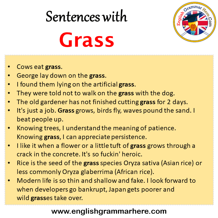 Sentences with Wild, Wild in a Sentence and Meaning - English Grammar Here