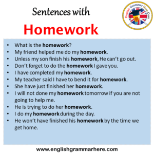 sentence with homework example