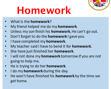 sample sentence of homework
