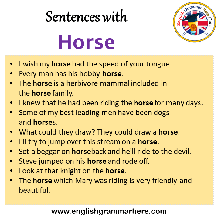 Sentences with Horse, Horse in a Sentence in English, Sentences For Horse