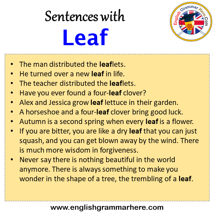 Sentences with Leaf, Leaf in a Sentence in English, Sentences For Leaf