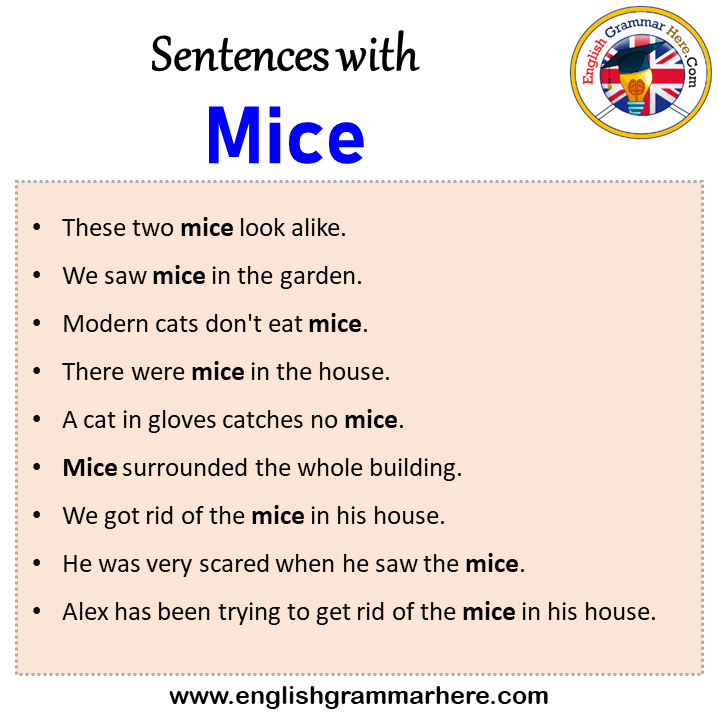 Sentences with Mice, Mice in a Sentence in English, Sentences For Mice
