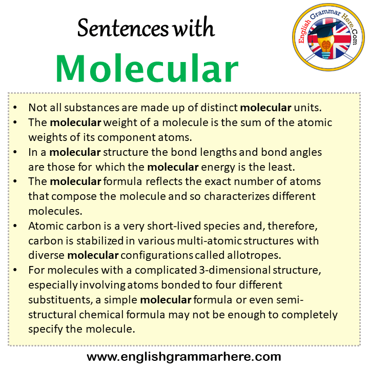 Sentences with Molecular, Molecular in a Sentence in English, Sentences For Molecular