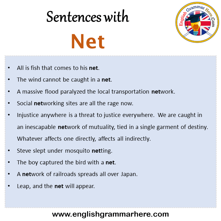 Sentences with Net, Net in a Sentence in English, Sentences For Net