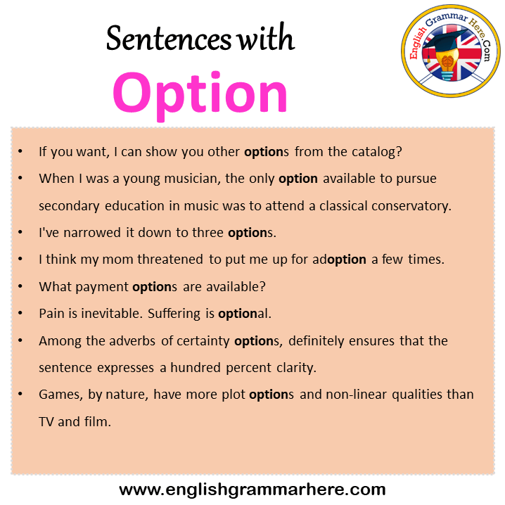 Sentences with Option, Option in a Sentence in English, Sentences For Option