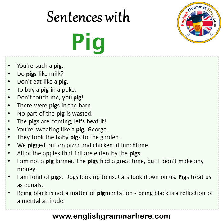 sentences-with-pig-pig-in-a-sentence-in-english-sentences-for-pig