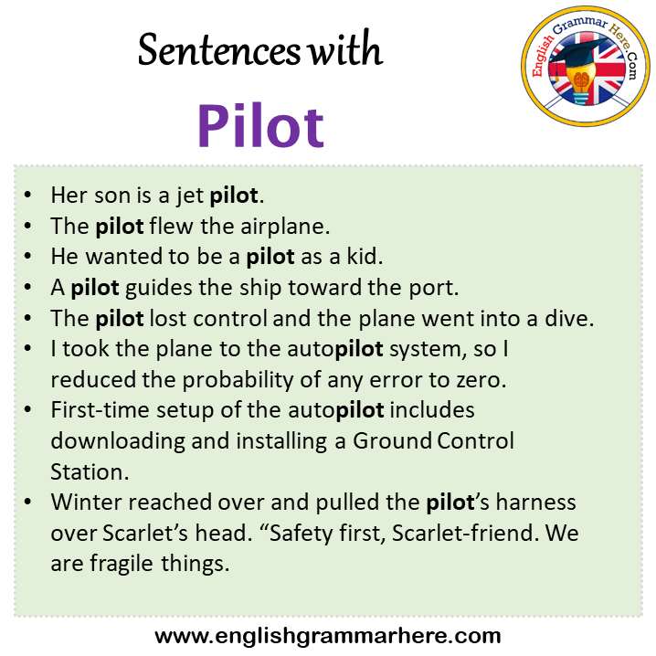 Sentences with Pilot, Pilot in a Sentence in English, Sentences For Pilot
