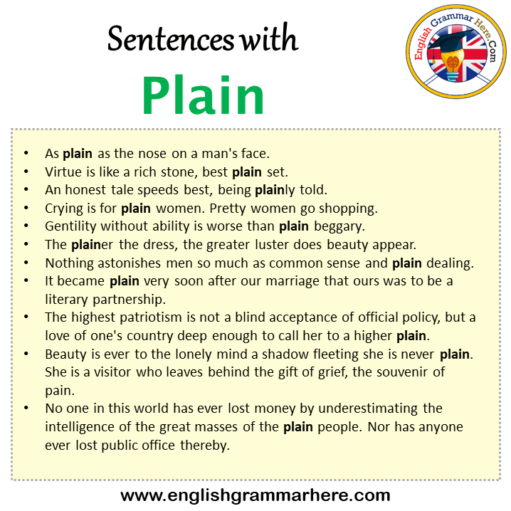 Sentences with Plain, Plain in a Sentence in English, Sentences For Plain