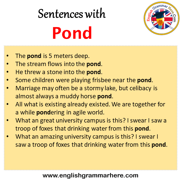 Sentences with Pond, Pond in a Sentence in English, Sentences For Pond