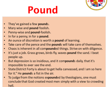 Pound Example Pound in a Sentence in English Archives - English Grammar Here