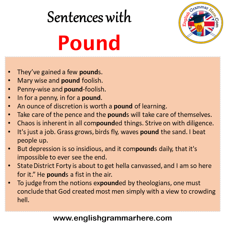 Sentences with Pound, Pound in a Sentence in English, Sentences For Pound